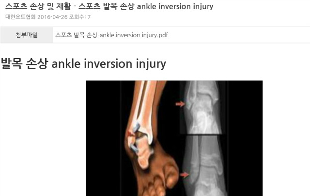 스포츠 손상 및 재활에 대한 자료 제공