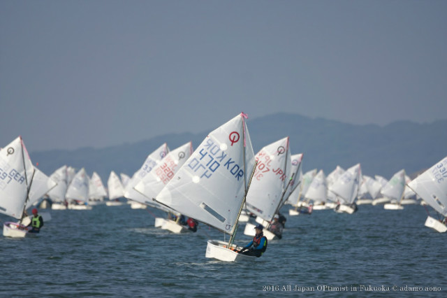 DSC02938.jpg