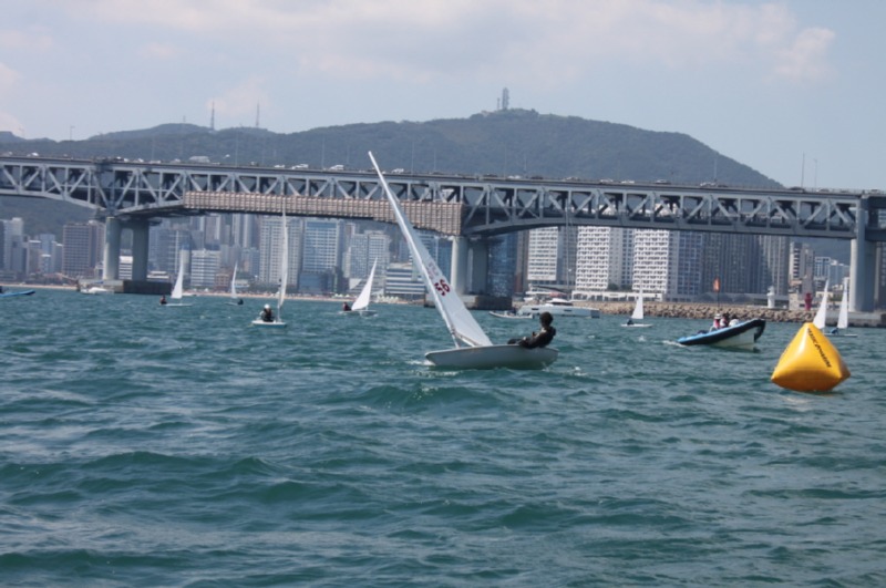 IMG_9931.JPG